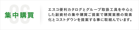 06集中購買 エスコ便利カタログとグループ取扱工具を中心とした副資材の集中購買ご提案で購買業務の簡素化とコストダウンを提案する事に取組んでいます。